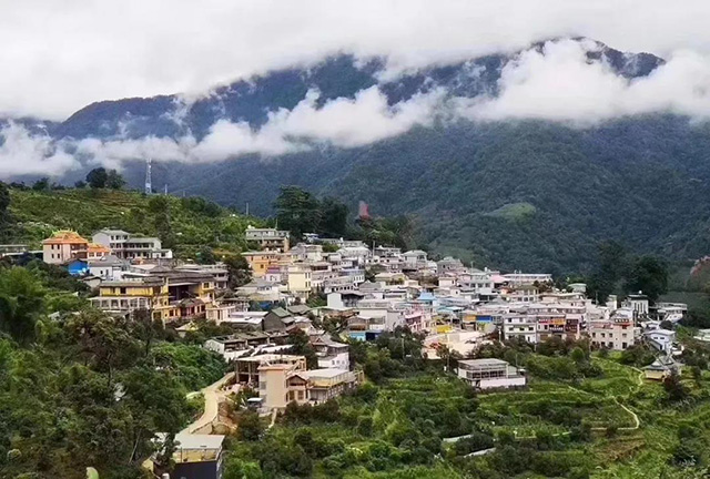 云柯庄园临沧茶山