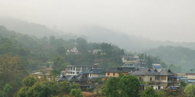 龙润茶南糯山普洱茶