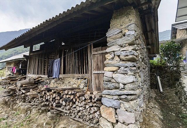 黄草坝古茶山