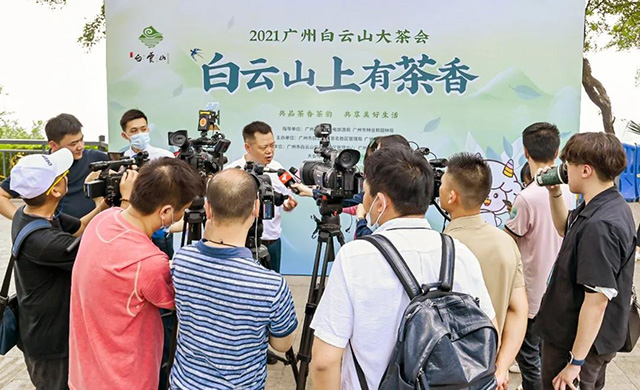 白云山上有茶香开幕茶会表演敬茶等环节