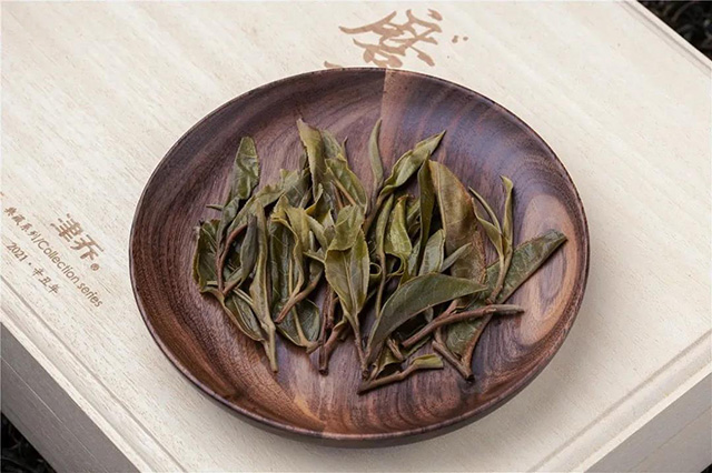 津乔普洱茶