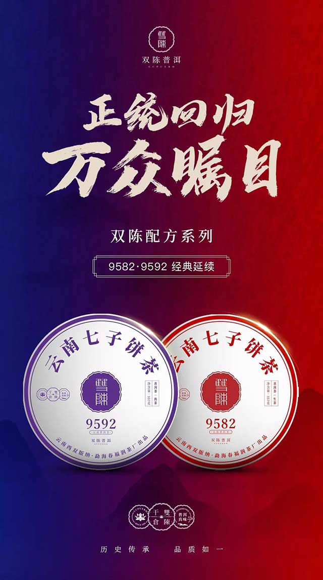 双陈普洱茶