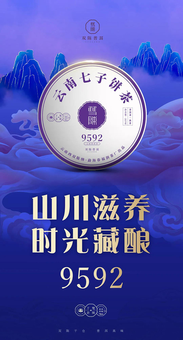 双陈普洱茶