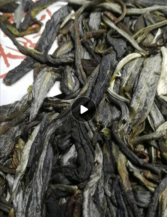 杨普号千山之外普洱茶