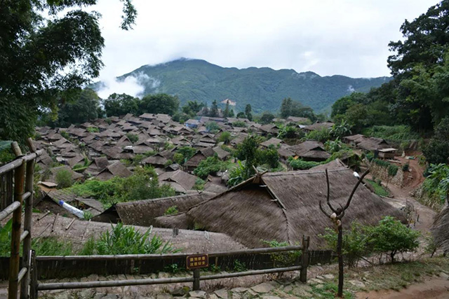 杨普号茶山影像志