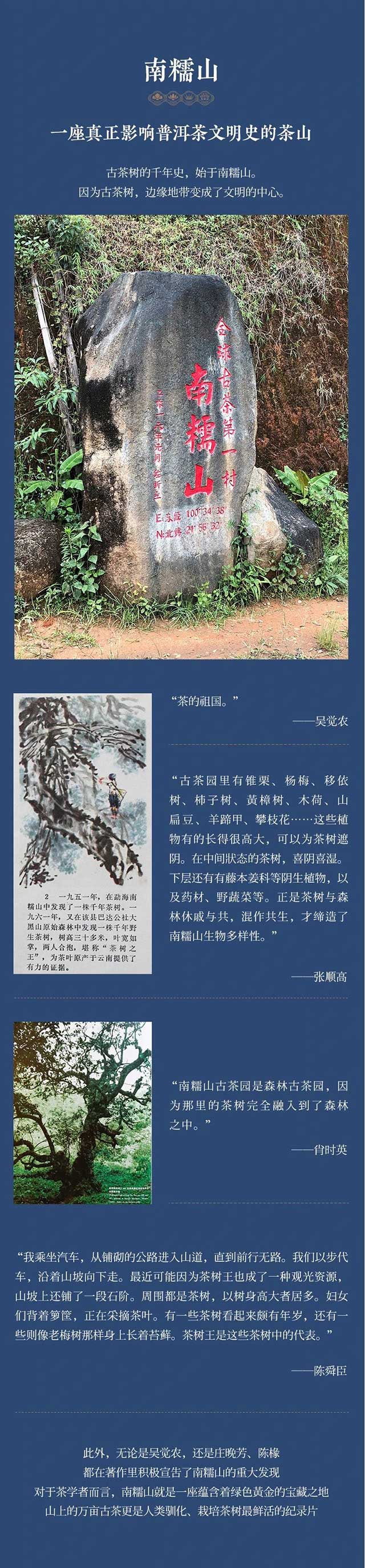 南糯山普洱茶