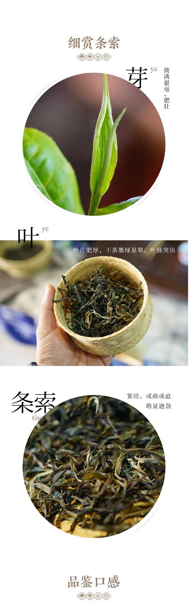 南糯山普洱茶