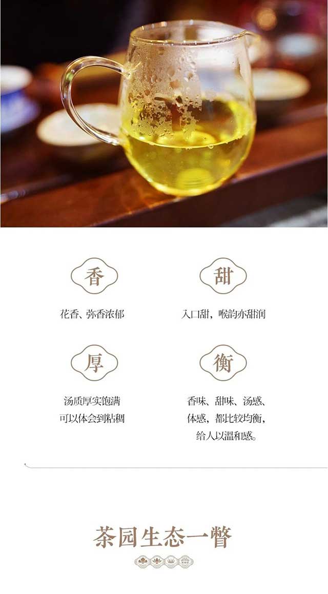 南糯山普洱茶