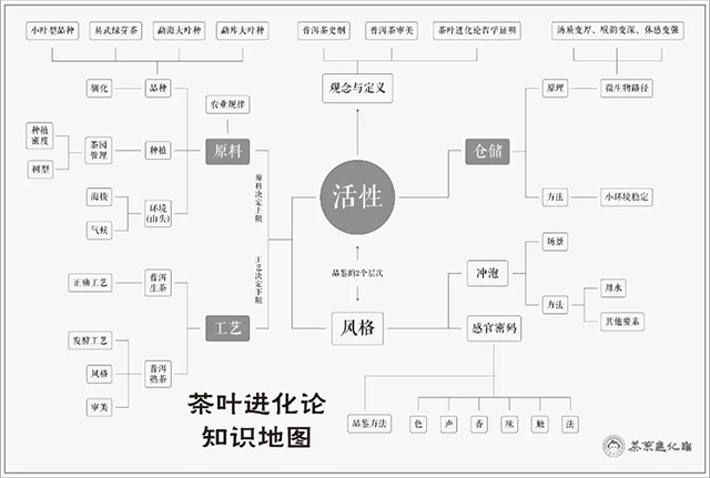 茶叶进化论