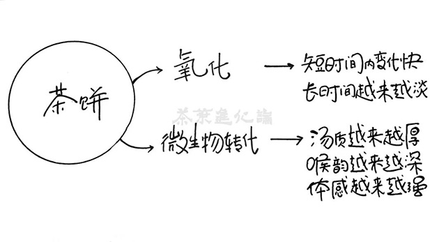 微生物转化路径简示图