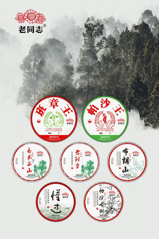 2021年头春茶老同志名山茶