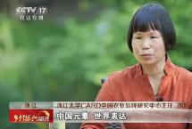 「国际茶日」胡晓云：中国茶的国家战略与世界表达