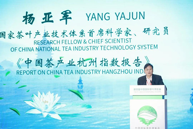 国家茶叶产业技术体系首席科学家杨亚军
