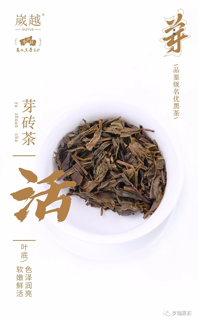 岁越黑茶云台芽砖荒野茶