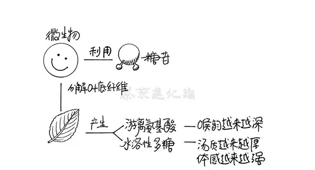 微生物转化路径简示图