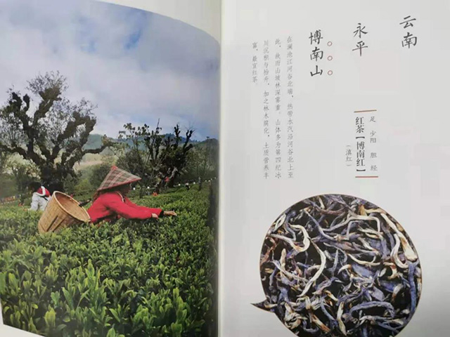 茶道经