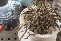 云茶观察：云南茶原料普遍涨价，谁来接盘这些茶原料