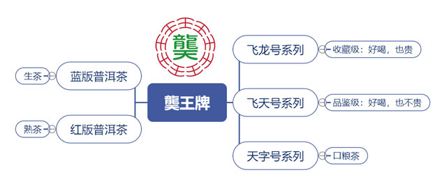 龑王牌品牌产品布局