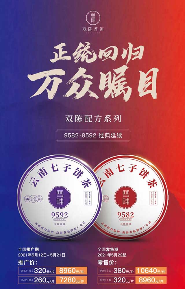 双陈2021年经典9592普洱茶冲泡品鉴