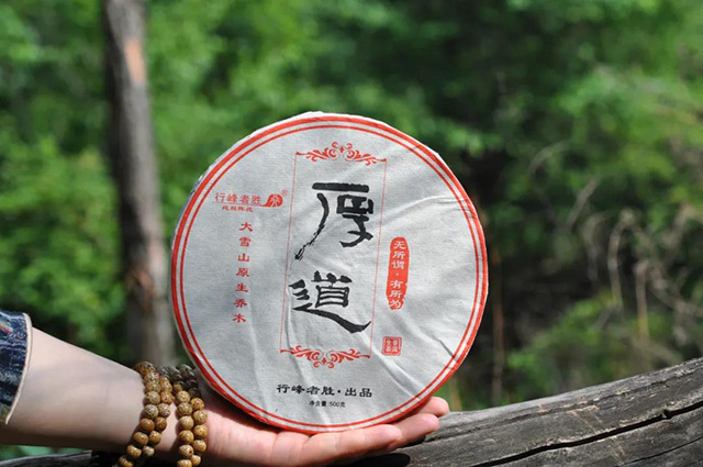 行峰者胜厚道普洱茶