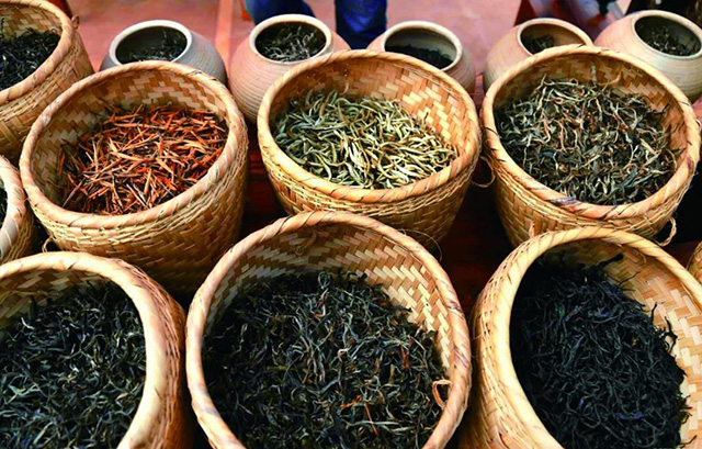 景谷茶