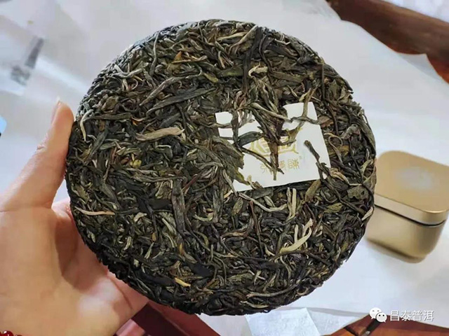 昌泰普洱茶2021年茶壶陈班章
