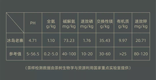 津乔普洱古树茶