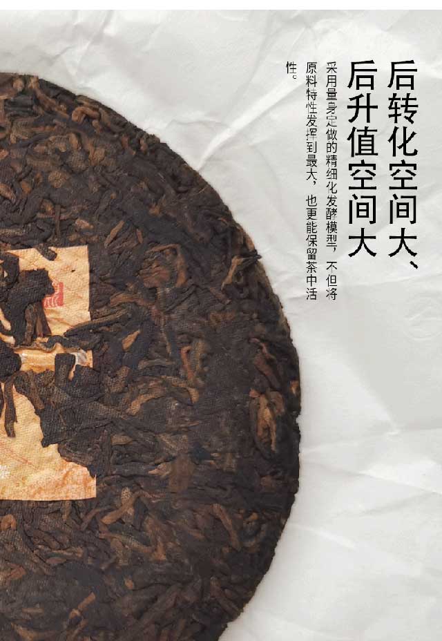 巅茶2021天脉标准版熟茶标准产品