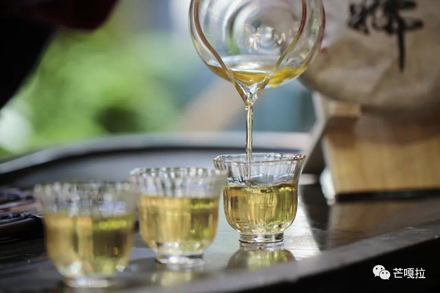 芒嘎拉古茶