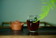 味觉的审美茶会预告：周五六堡vs普洱茶会；周日凤凰单丛茶会