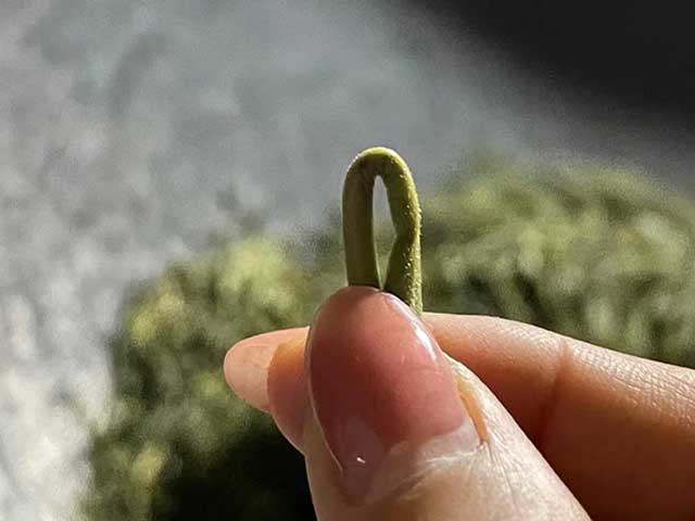 暖暖说茶