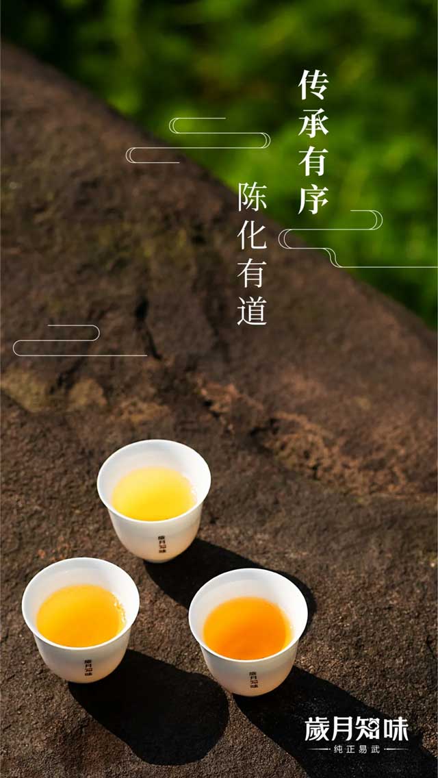 岁月知味易武早春茶