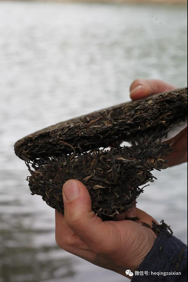 荒山大野勐麻河普洱茶