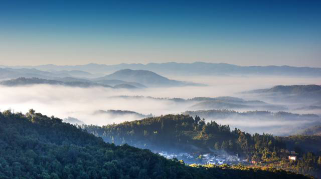 龙润茶藏香陈香普洱茶