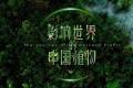 观影茶会：影响世界的中国植物「一如茶香专栏」