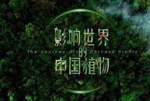 观影茶会：影响世界的中国植物「一如茶香专栏」