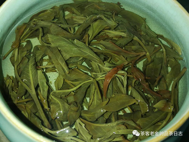 圆世号凤凰窝古树茶