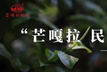 芒嘎拉：时光之于普洱茶的秘密是什么？