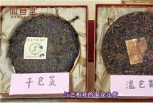 双陈微普小课堂：干仓茶与湿仓茶的区别是什么？