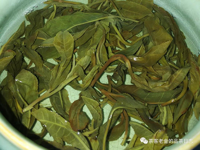 山神庙龙珠普洱茶