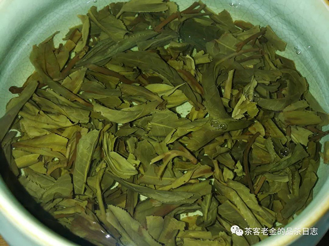 彤掌柜一念浮沉普洱茶