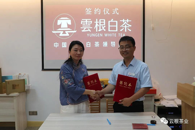 闽冀两地茶文化交流大会