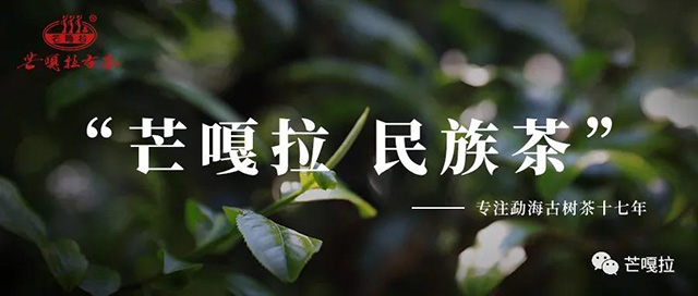 芒嘎拉古茶云南保山店