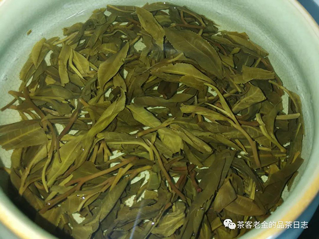元龙号不空普洱茶