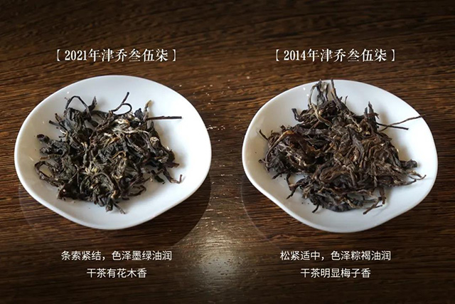 津乔普洱茶品鉴