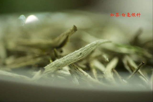 一如茶香茶会