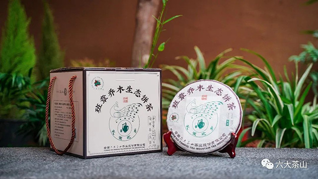 六大茶山班章乔木生态饼茶