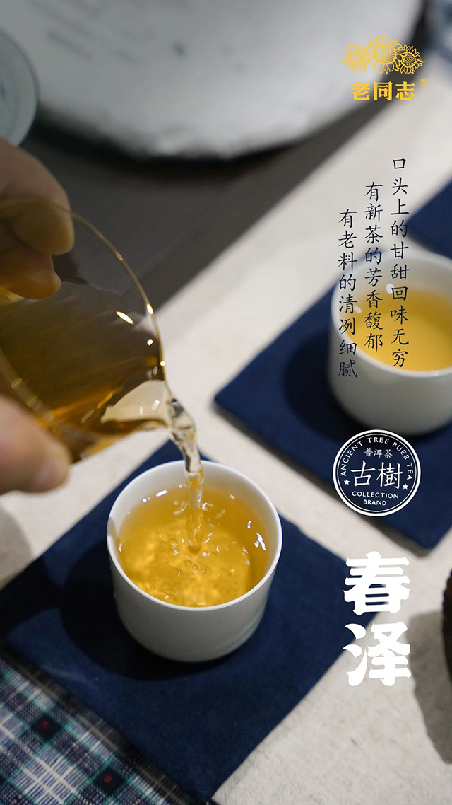 海湾茶业春泽普洱茶