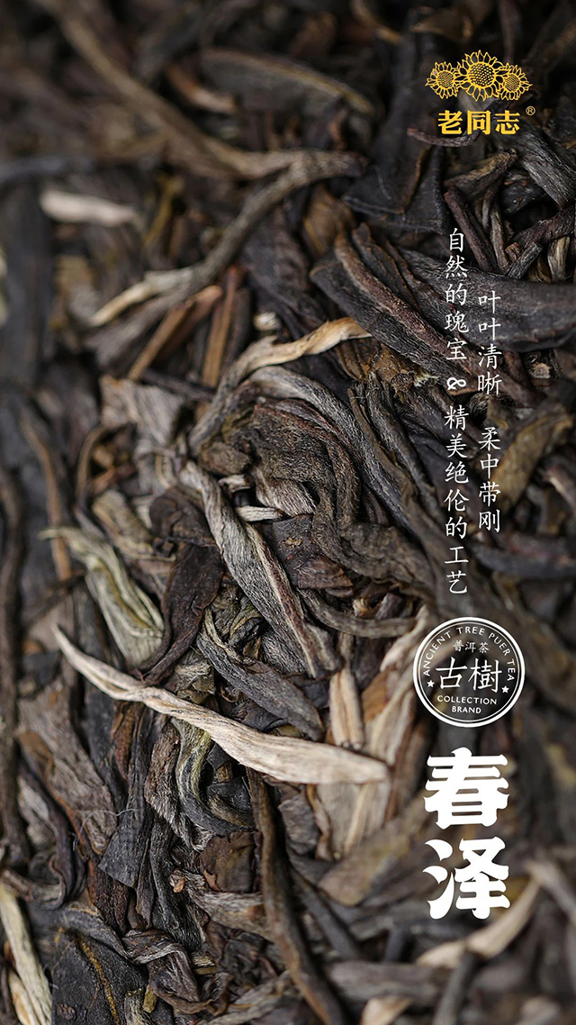 海湾茶业春泽普洱茶
