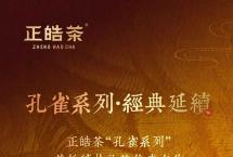 正皓茶2021孔雀贡饼：孔雀系列，经典延续